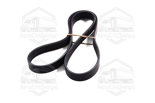 Ремінь поліклін. 6PK1115 (вир-во DONGIL)