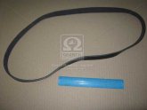 Ремінь поліклін. 6PK1153 (вир-во DONGIL)