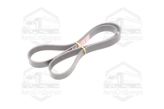 Ремінь поліклін. 6PK1200 (вир-во DONGIL)