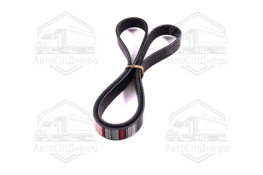 Ремінь поліклін. 6PK1230 (вир-во DONGIL)