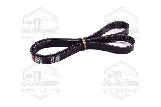 Ремінь поліклін. 6PK1230 (вир-во DONGIL)