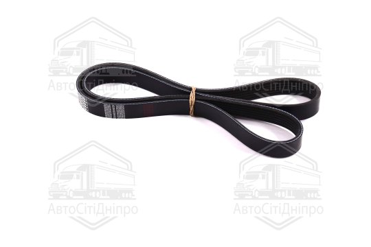 Ремінь поліклін. 6PK1230 (вир-во DONGIL)
