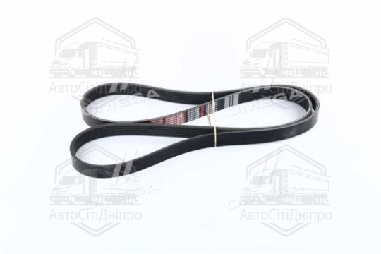 Ремінь поліклін. 6PK1555 (вир-во DONGIL)