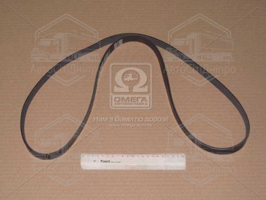 Ремінь поліклін. 6PK1555 (вир-во DONGIL)