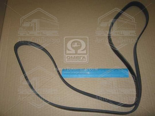 Ремінь поліклін. 6PK1800 (вир-во DONGIL)
