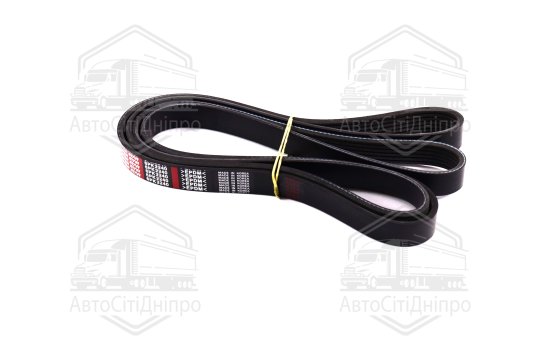 Ремінь поліклін. 6PK2240 (вир-во DONGIL)