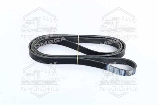 Ремінь поліклін. 6PK2545 (вир-во DONGIL)