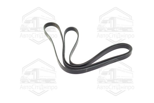 Ремінь поліклін. 6PK2584 (вир-во DONGIL)