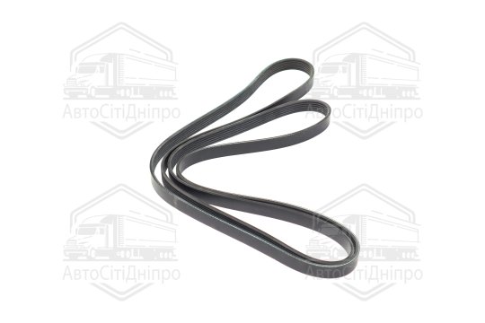 Ремінь поліклін. 6PK2584 (вир-во DONGIL)