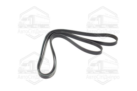Ремінь поліклін. 6PK2584 (вир-во DONGIL)