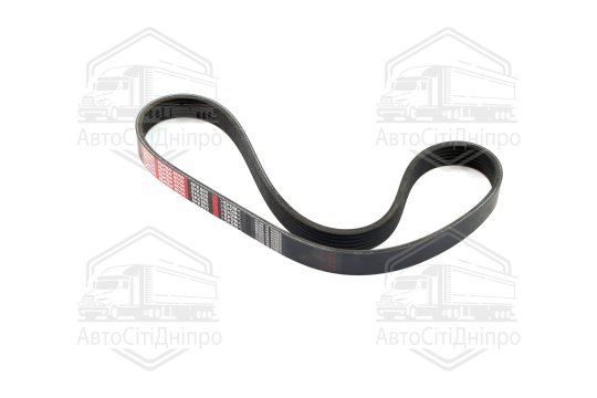 Ремінь поліклін. 6PK800 (вир-во DONGIL)
