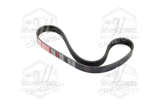 Ремінь поліклін. 6PK800 (вир-во DONGIL)