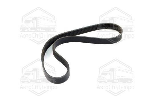 Ремінь поліклін. 6PK800 (вир-во DONGIL)