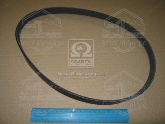 Ремінь поліклін. 6PK884 (вир-во DONGIL)