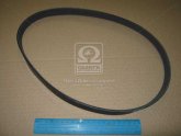 Ремінь поліклін. 6PK884 (вир-во DONGIL)