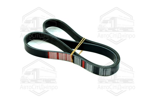 Ремінь поліклін. 6PK915 (вир-во DONGIL)