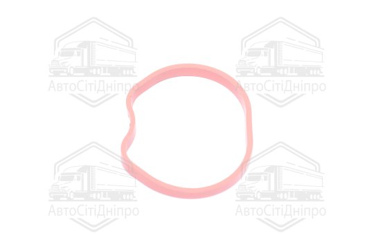 Прокладка колектора IN FORD 1.25/1.4/1.6 16V/HWDA/HWDB (4) (вир-во Elring)