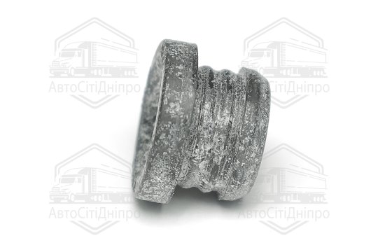 Прокладка, болт кришка головки циліндра VAG 2,0TDI (вир-во Elring)