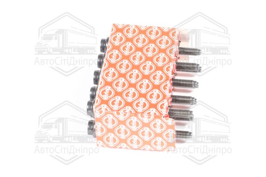 Комплект болтів головки цилідра VAG 1,6 16V FSI BAD/ATN/AUS/AZD/BCB 99- (вир-во Elring)