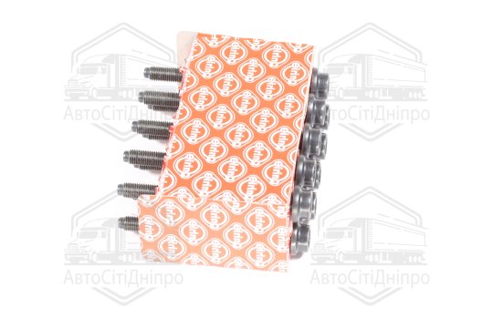 Комплект болтів головки цилідра VAG 1,6 16V FSI BAD/ATN/AUS/AZD/BCB 99- (вир-во Elring)