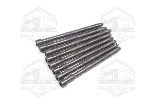 Болт головки блоку (компл.) VAG 3.0 ASN/AVK/BBJ (3CYL) (вир-во Elring)