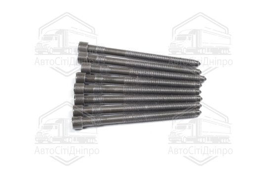 Болт головки блоку (компл.) VAG 3.0 ASN/AVK/BBJ (3CYL) (вир-во Elring)