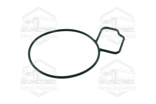 Прокладка водяний насос OPEL 2,0/2,2 A20NFT/Z22SE (вир-во Elring)