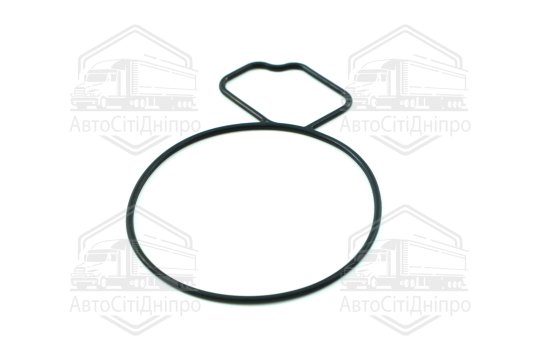 Прокладка водяний насос OPEL 2,0/2,2 A20NFT/Z22SE (вир-во Elring)