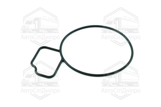 Прокладка водяний насос OPEL 2,0/2,2 A20NFT/Z22SE (вир-во Elring)
