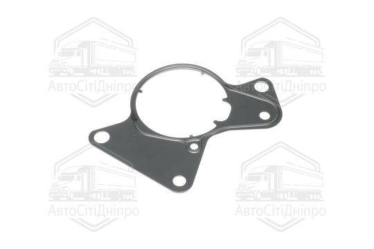 Прокладка, тамденний насос VAG 2.5TDI T5 AXD/AXE/BAC/BLJ/BLK/BNZ/BPC/BPD/BPE (вир-во Elring)
