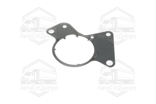 Прокладка, тамденний насос VAG 2.5TDI T5 AXD/AXE/BAC/BLJ/BLK/BNZ/BPC/BPD/BPE (вир-во Elring)