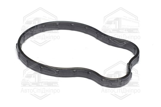 Кільце ущільнююче, термостат Chrysler/JEEP 3,6 ERC V6 16- (вир-во Elring)