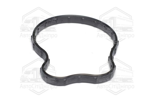Кільце ущільнююче, термостат Chrysler/JEEP 3,6 ERC V6 16- (вир-во Elring)