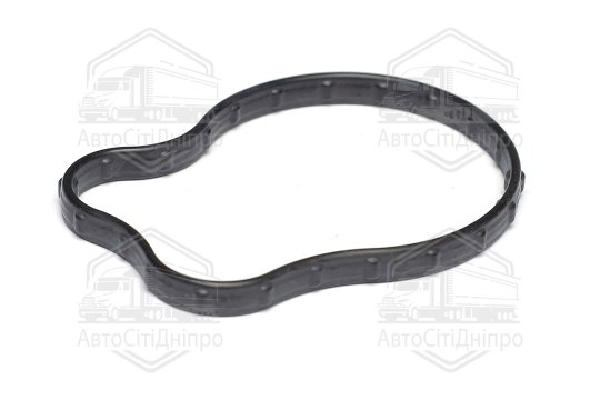 Кільце ущільнююче, термостат Chrysler/JEEP 3,6 ERC V6 16- (вир-во Elring)