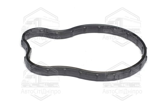 Кільце ущільнююче, термостат Chrysler/JEEP 3,6 ERC V6 16- (вир-во Elring)