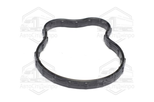 Кільце ущільнююче, термостат Chrysler/JEEP 3,6 ERC V6 16- (вир-во Elring)