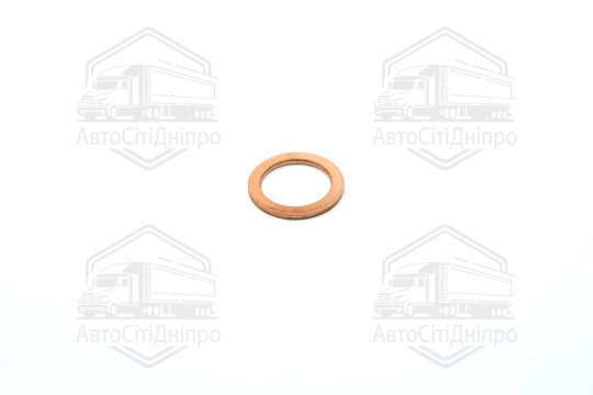 Прокладка зливної горловини двигуна DAEWOO/CHEVROLET/AUDI ABC