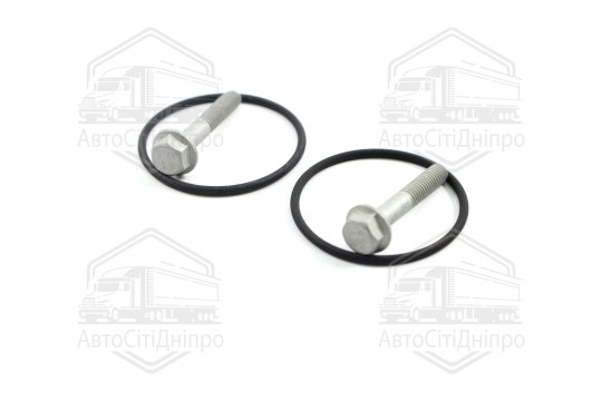 Комплект прокладок, насос гідропідсилювача Borg Warner VAG (вир-во Elring)