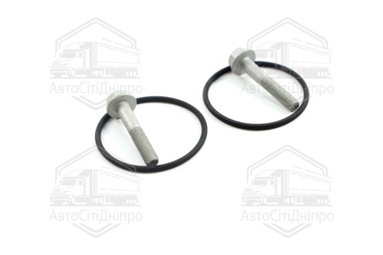 Комплект прокладок, насос гідропідсилювача Borg Warner VAG (вир-во Elring)