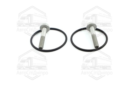 Комплект прокладок, насос гідропідсилювача Borg Warner VAG (вир-во Elring)