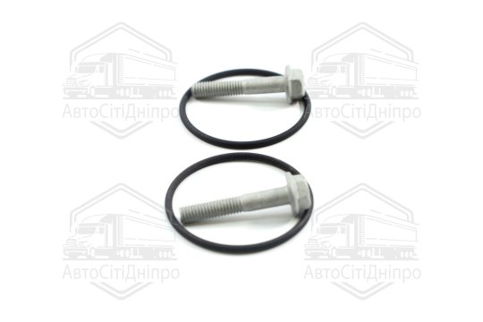 Комплект прокладок, насос гідропідсилювача Borg Warner VAG (вир-во Elring)