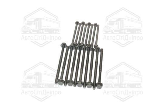 Болт головки блоку (компл.) FORD 2.0 TDCI/2.2TDCI (вир-во Elring)