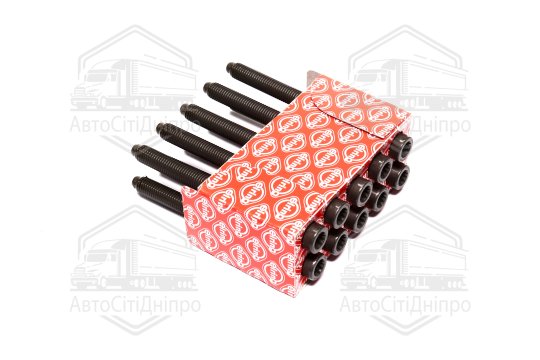 Болт головки цилідра (компл.) VAG 1.6/2.0TDI 09-CAAA/CAGA/CBBB (вир-во Elring)