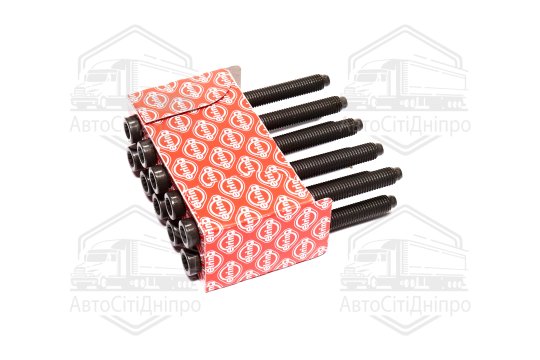 Болт головки цилідра (компл.) VAG 1.6/2.0TDI 09-CAAA/CAGA/CBBB (вир-во Elring)