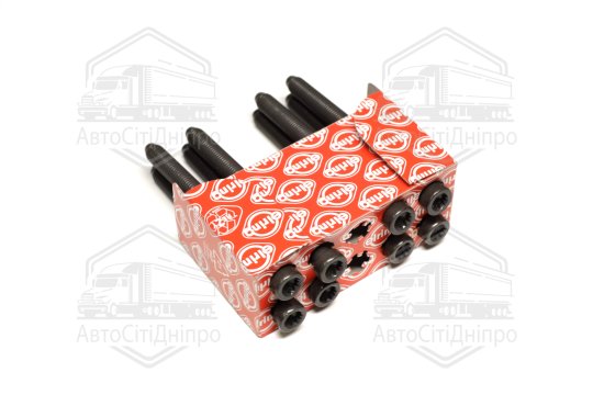 Комплект болтів головки блоку циліндрів VAG 1,2 TDI (вир-во Elring)