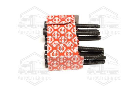 Комплект болтів головки блоку циліндрів VAG 1,2 TDI (вир-во Elring)