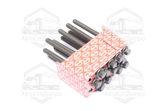 Комплект болтів головки цилідра FORD/VOLVO 2,0/2,3/2,5T 97- (вир-во Elring)