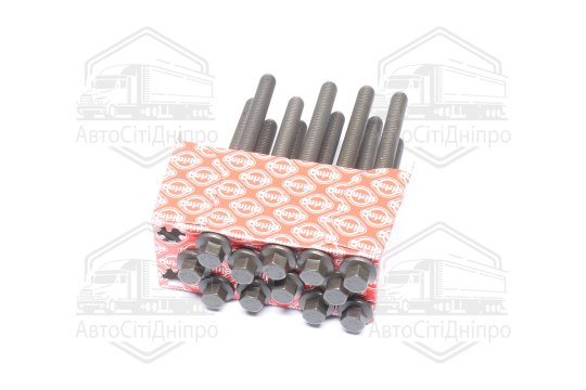 Комплект болтів головки цилідра FORD/VOLVO 2,0/2,3/2,5T 97- (вир-во Elring)