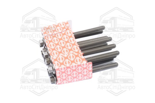 Комплект болтів головки цилідра FORD/VOLVO 2,0/2,3/2,5T 97- (вир-во Elring)