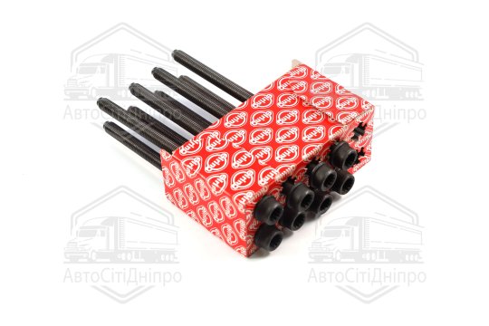 Комплект болтів головки циліндрів VAG 2,4-3,3 TFSI M10x1,5x170 (2) 07.2011- (вир-во Elring)